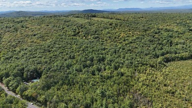 Imagine owning 79.46 acres of Maine's pristine woodland in the - photo 19