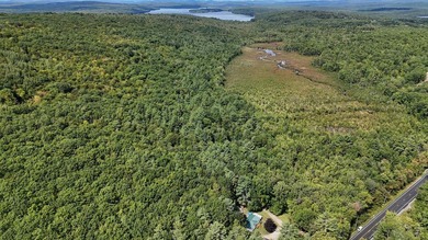 Imagine owning 79.46 acres of Maine's pristine woodland in the - photo 20