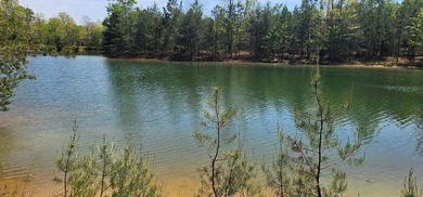 Beautiful lot in a nature resort! This 3.36 acre lot is fully - photo 1