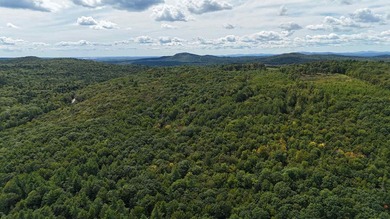 Imagine owning 79.46 acres of Maine's pristine woodland in the - photo 21
