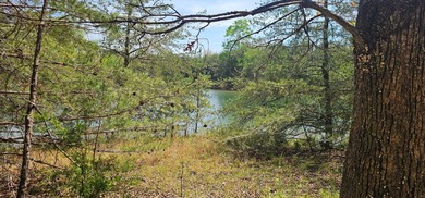 Beautiful lot in a nature resort! This 3.36 acre lot is fully - photo 2