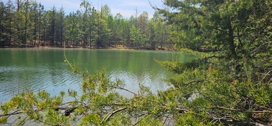 Beautiful lot in a nature resort! This 3.36 acre lot is fully - photo 3