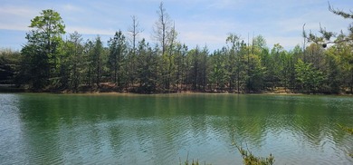 Beautiful lot in a nature resort! This 3.36 acre lot is fully - photo 4