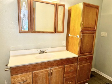 Charming property with access to beautiful Lake Cypress Springs - photo 24
