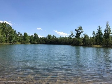 Beautiful lot in a nature resort! This 3.36 acre lot is fully - photo 5