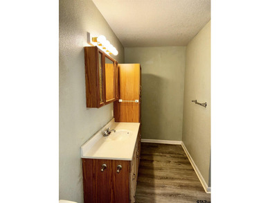 Charming property with access to beautiful Lake Cypress Springs - photo 25