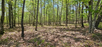 Beautiful lot in a nature resort! This 3.36 acre lot is fully - photo 6