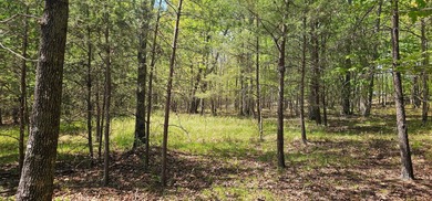 Beautiful lot in a nature resort! This 3.36 acre lot is fully - photo 7