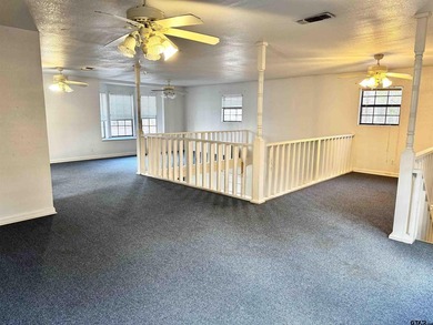 Charming property with access to beautiful Lake Cypress Springs - photo 27