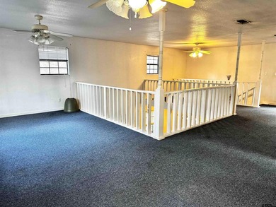 Charming property with access to beautiful Lake Cypress Springs - photo 28