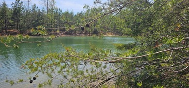 Beautiful lot in a nature resort! This 3.36 acre lot is fully - photo 9