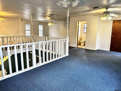 Charming property with access to beautiful Lake Cypress Springs - photo 29
