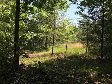Beautiful lot in a nature resort! This 3.36 acre lot is fully - photo 10
