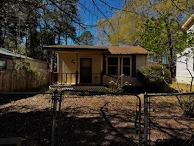 Charming property with access to beautiful Lake Cypress Springs - photo 36