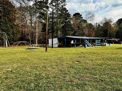 Charming property with access to beautiful Lake Cypress Springs - photo 47