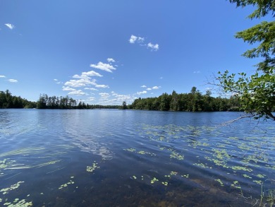 Lake Acreage For Sale in Lakeville, Maine