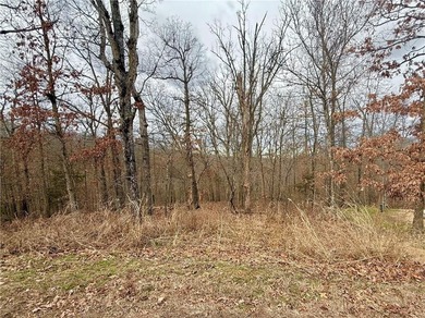 Lake Brittany Lot For Sale in Bella Vista Arkansas