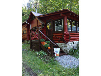 Great Sacandaga 10ft Permit! Log cabin - Lake Home For Sale in Day, New York