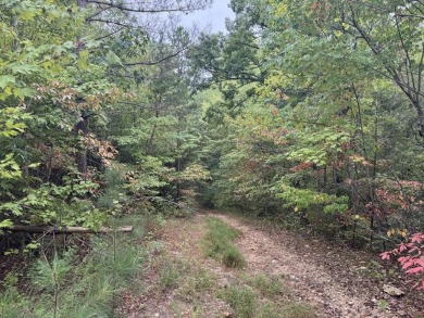 Lake Lot For Sale in Smithville, Tennessee