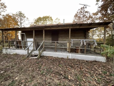 Handmade Log Hole with trees off the property on 16.4 acres m/l - photo 4