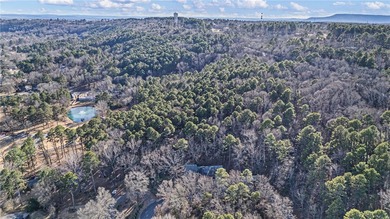 ***Welcome to 316 Craigswood Circle, tucked away on a quiet - photo 46