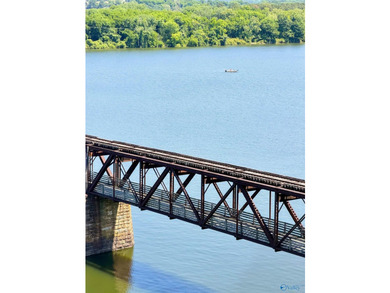 Elegantly appointed condo with breathtaking views of Pickwick - photo 46