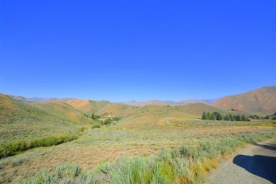 Big Wood River Acreage For Sale in Blaine County Idaho