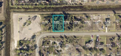 Lehigh Acres Area Lot For Sale in Lehigh Acres Florida