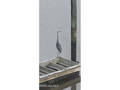 Turn-key 2BR/2BA end unit condo with stunning Intracoastal - photo 46