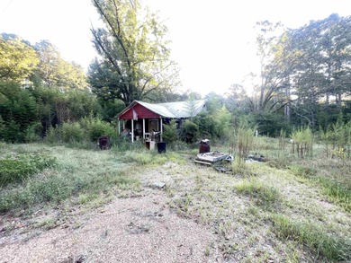 (private lake, pond, creek) Home For Sale in Camden Arkansas