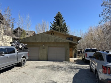 Big Wood River Townhome/Townhouse For Sale in Ketchum Idaho