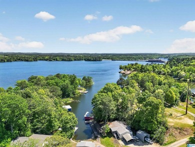 Stunning Lakefront Property on Lay Lake Discover your dream - photo 7