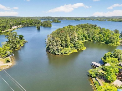 Stunning Lakefront Property on Lay Lake Discover your dream - photo 9