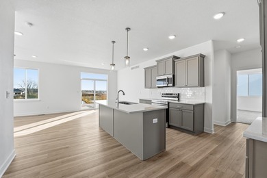 (private lake, pond, creek) Home For Sale in Waukee Iowa