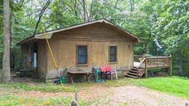 Lake Home For Sale in Gilbertsville, Kentucky