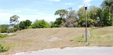 Lake Lot Off Market in Clermont, Florida