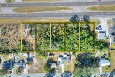 Lake Lot For Sale in Lake Wales, Florida