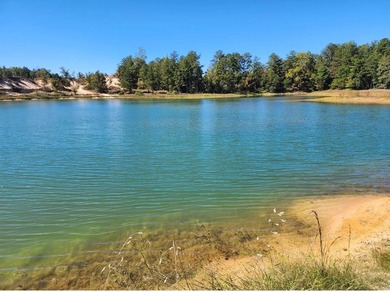 (private lake, pond, coastal) Acreage For Sale in Junction City Georgia