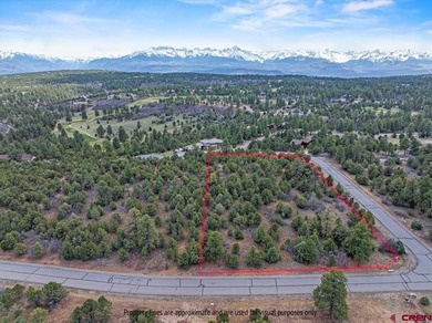 Judy L Darwick, United Country Sneffels Realty, Cell:,,: - photo 1