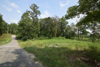 Non Restricted Lot Across from Smith Lake - Lake Lot For Sale in Arley, Alabama