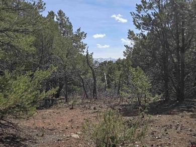 Judy L Darwick, United Country Sneffels Realty, Cell:,,: - photo 3