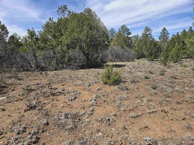 Judy L Darwick, United Country Sneffels Realty, Cell:,,: - photo 4
