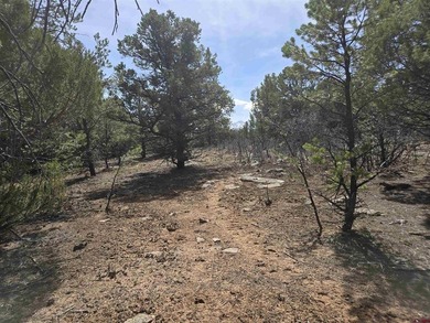 Judy L Darwick, United Country Sneffels Realty, Cell:,,: - photo 5