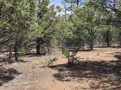 Judy L Darwick, United Country Sneffels Realty, Cell:,,: - photo 6
