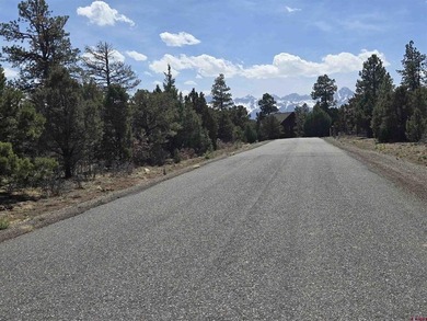 Judy L Darwick, United Country Sneffels Realty, Cell:,,: - photo 7