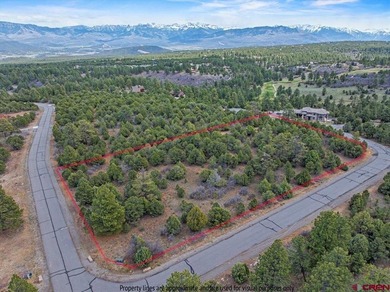 Judy L Darwick, United Country Sneffels Realty, Cell:,,: - photo 8