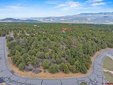 Judy L Darwick, United Country Sneffels Realty, Cell:,,: - photo 9