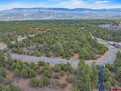Judy L Darwick, United Country Sneffels Realty, Cell:,,: - photo 10