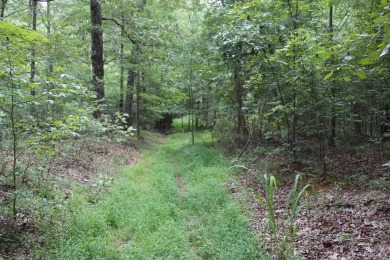 Indian Lake Lot For Sale in Cedar Grove Tennessee