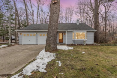Sanford Lake - Midland County Home For Sale in Sanford Michigan